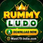Rummy Ludo Game icon